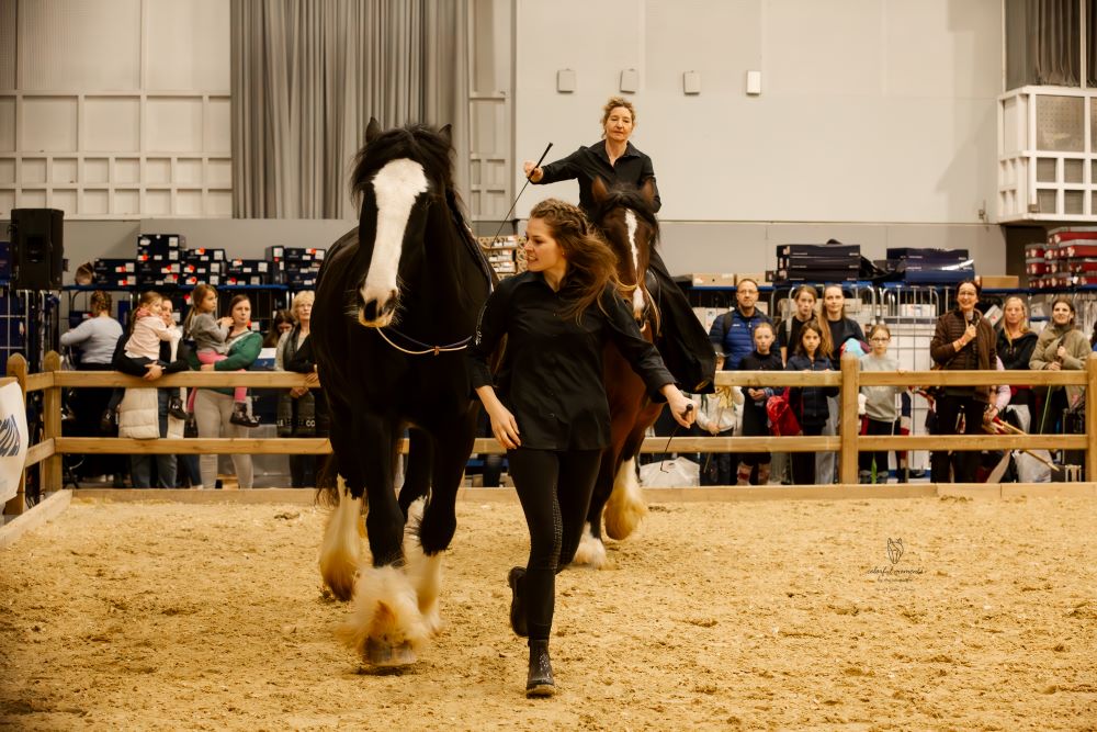 Judy und Emmi im Aktionsring
